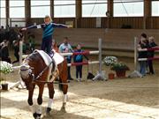 voltitag 2009 _CD1 094